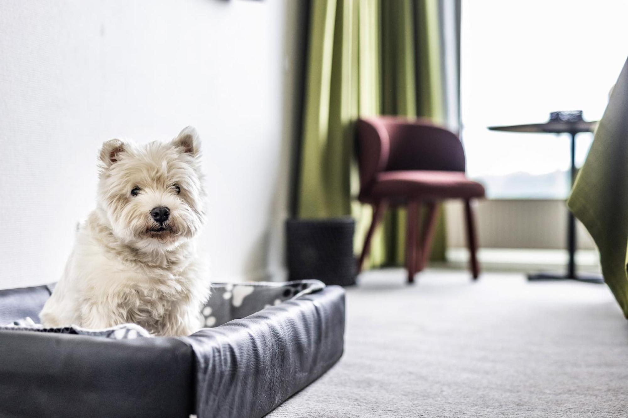 The Note Hotel Vejle Ngoại thất bức ảnh